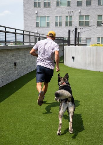 Private bark park